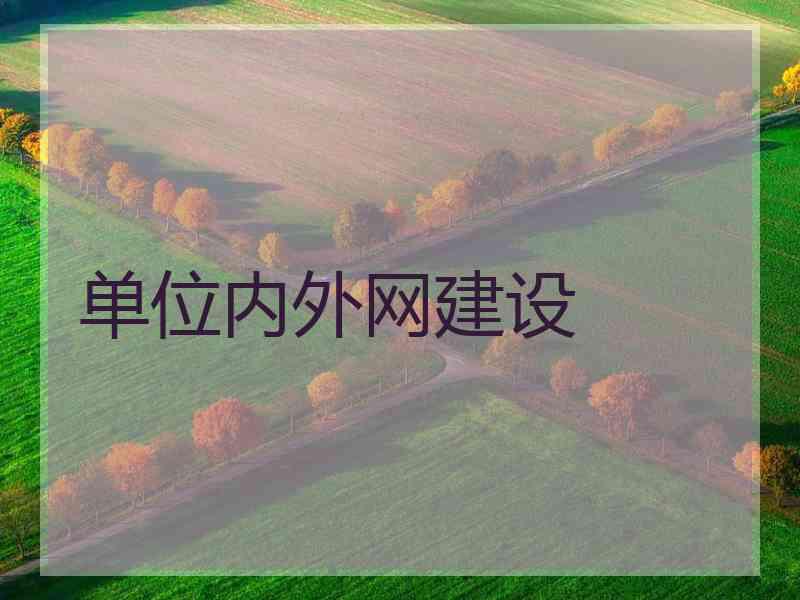 单位内外网建设 单位内外网建设
