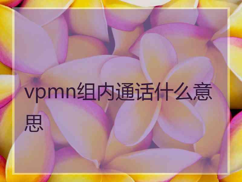 vpmn组内通话什么意思 vpmn组内通话什么意思