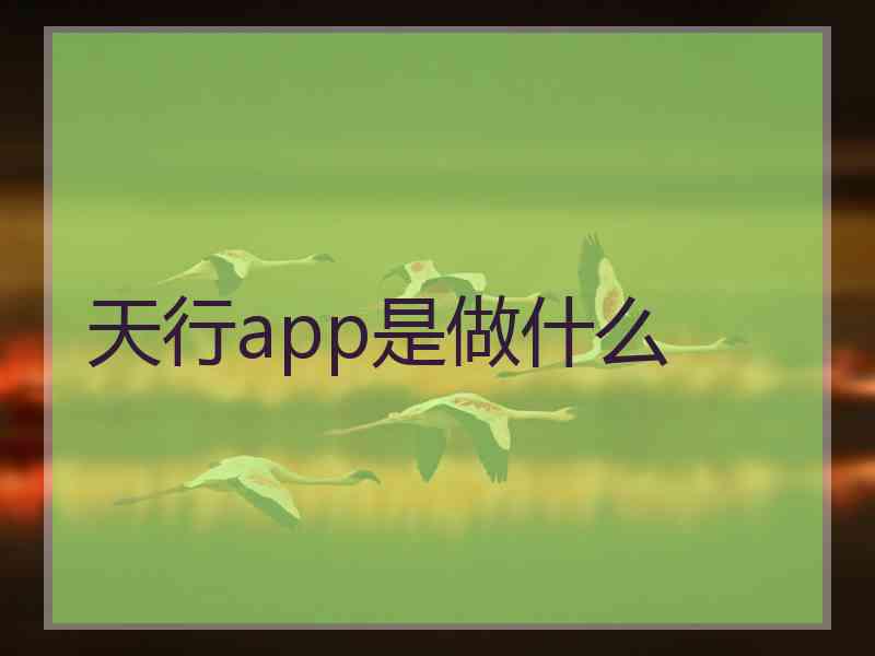 天行app是做什么 天行app是做什么