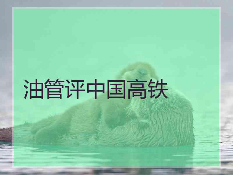 油管评中国高铁 油管评中国高铁