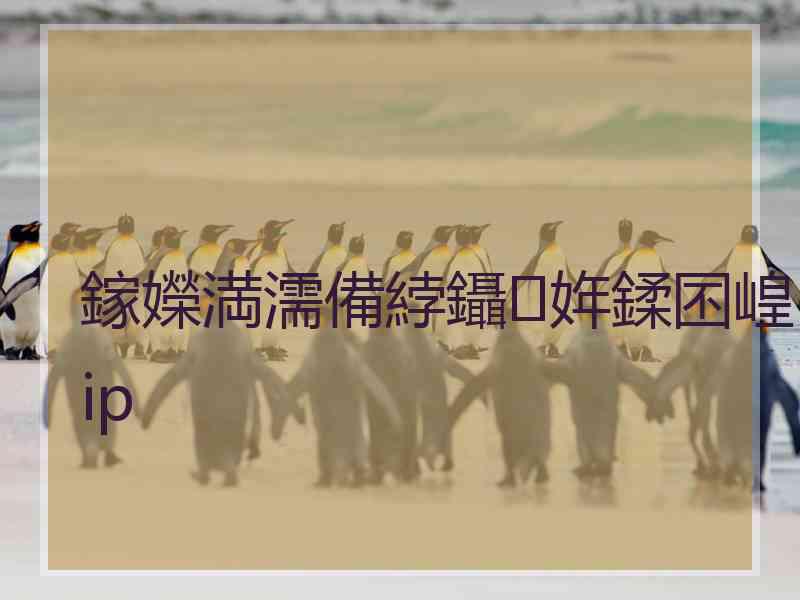 鎵嬫満濡備綍鑷姩鍒囨崲ip 鎵嬫満濡備綍鑷姩鍒囨崲ip