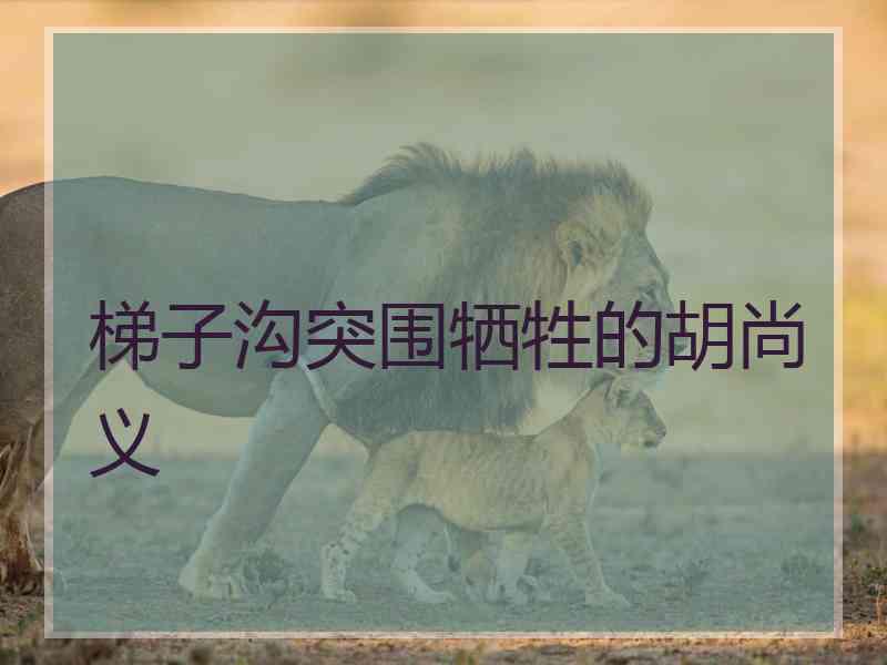 梯子沟突围牺牲的胡尚义 梯子沟突围牺牲的胡尚义