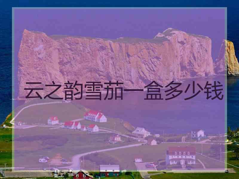 云之韵雪茄一盒多少钱 云之韵雪茄一盒多少钱