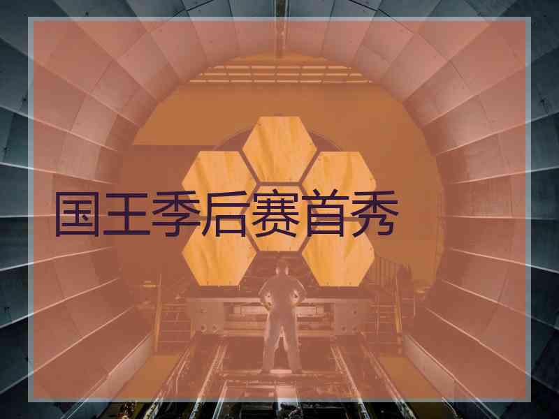 国王季后赛首秀 国王季后赛首秀