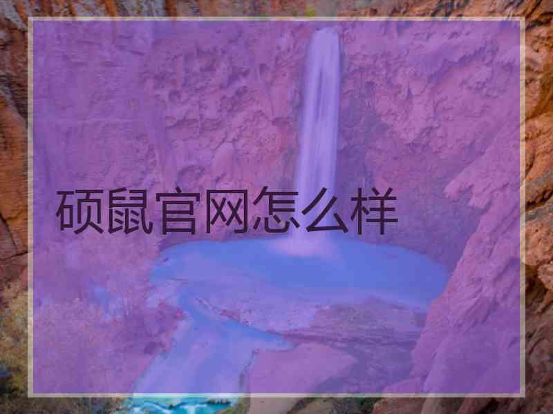 硕鼠官网怎么样 硕鼠官网怎么样