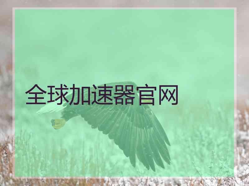全球加速器官网 全球加速器官网