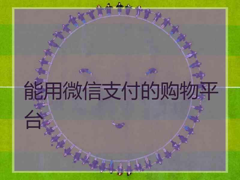 能用微信支付的购物平台 能用微信支付的购物平台
