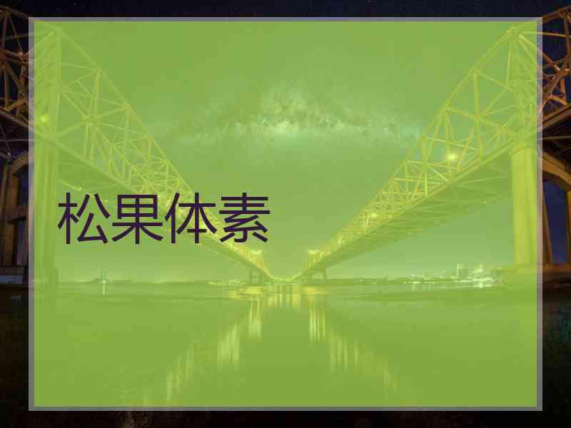 松果体素 松果体素