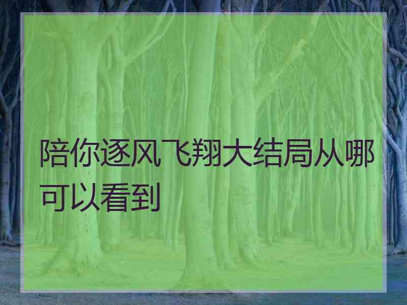 陪你逐风飞翔大结局从哪可以看到 陪你逐风飞翔大结局从哪可以看到
