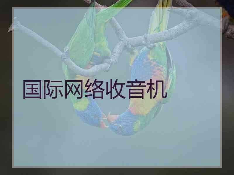 国际网络收音机 国际网络收音机