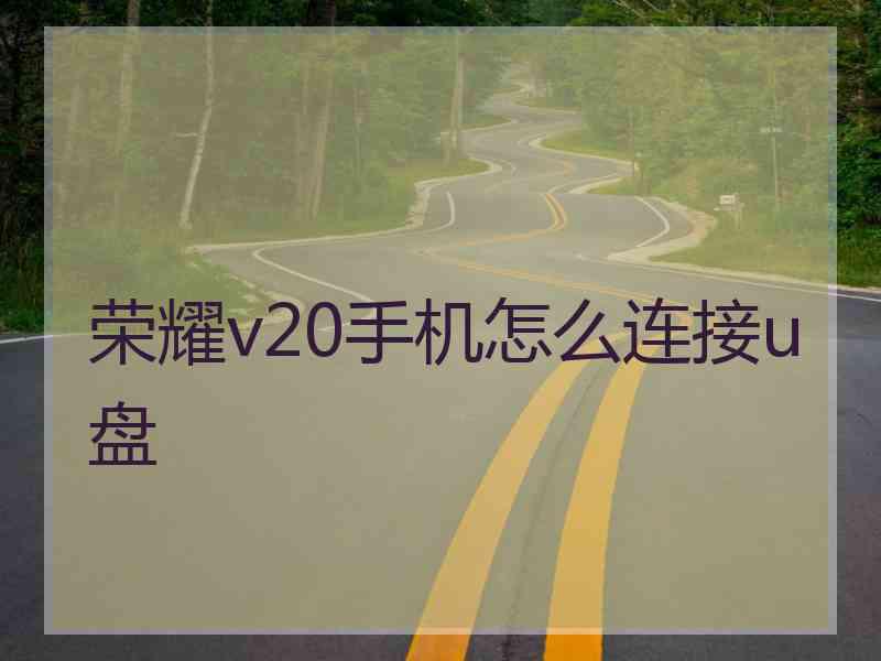 荣耀v20手机怎么连接u盘 荣耀v20手机怎么连接u盘