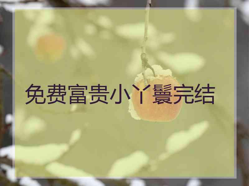 免费富贵小丫鬟完结 免费富贵小丫鬟完结