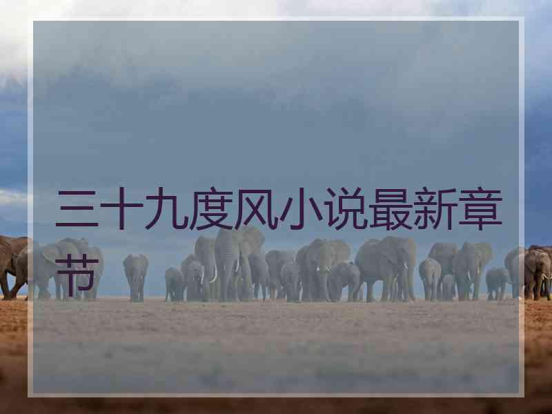 三十九度风小说最新章节 三十九度风小说最新章节