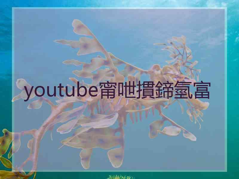 youtube甯呭摜鍗氫富 youtube甯呭摜鍗氫富