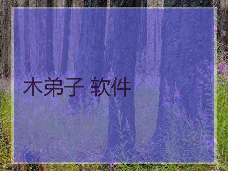 木弟子 软件 木弟子 软件