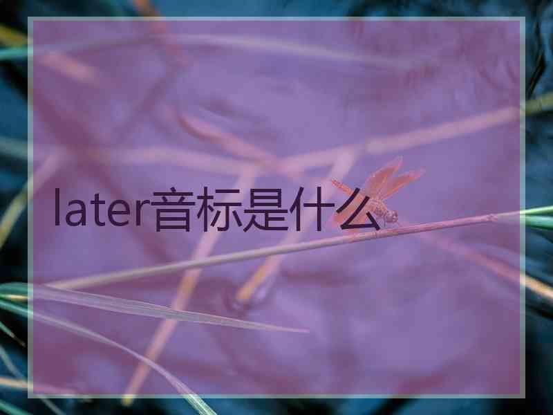 later音标是什么 later音标是什么