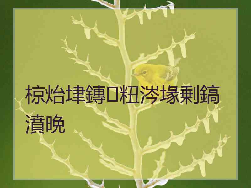 椋炲垏鏄粈涔堟剰鎬濆晩 椋炲垏鏄粈涔堟剰鎬濆晩