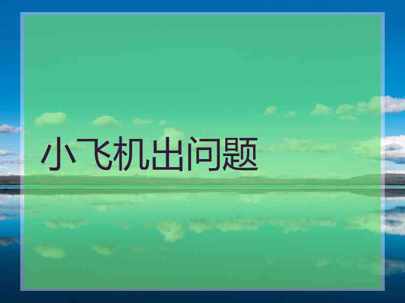 小飞机出问题 小飞机出问题