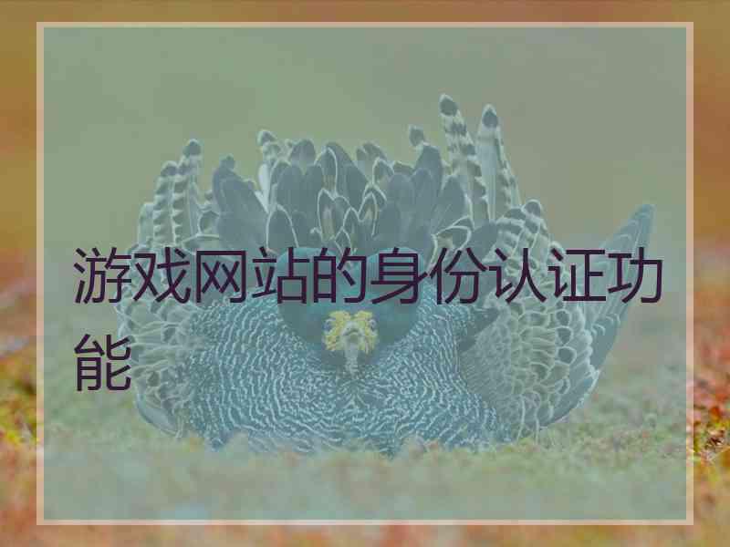 游戏网站的身份认证功能 游戏网站的身份认证功能