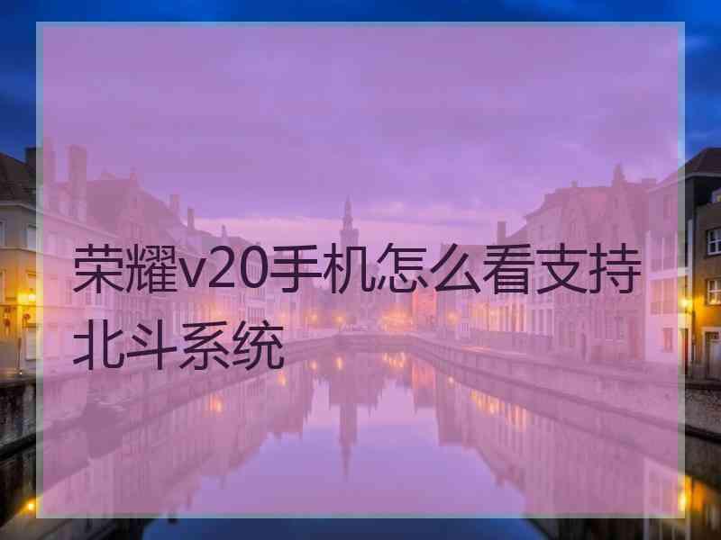 荣耀v20手机怎么看支持北斗系统 荣耀v20手机怎么看支持北斗系统