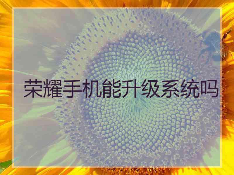 荣耀手机能升级系统吗 荣耀手机能升级系统吗