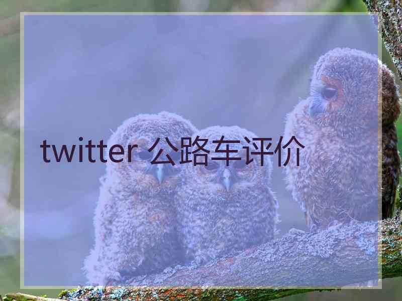 twitter 公路车评价 twitter 公路车评价