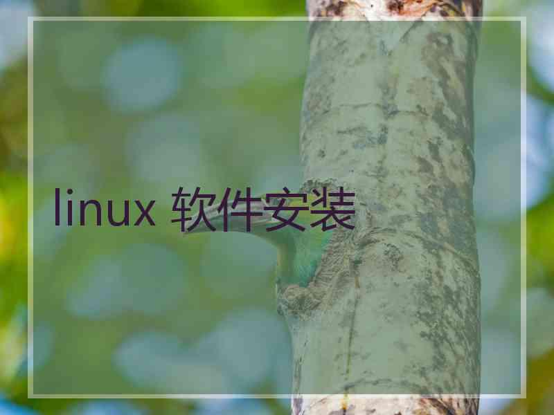 linux 软件安装