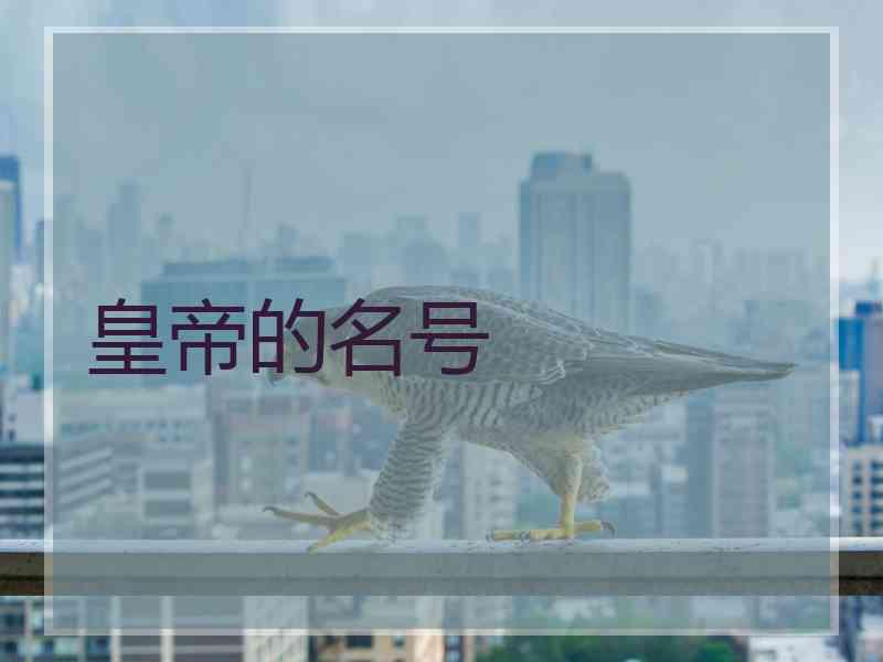 皇帝的名号 皇帝的名号