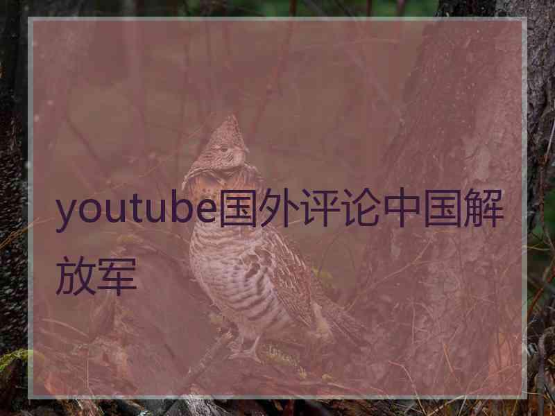 youtube国外评论中国解放军 youtube国外评论中国解放军