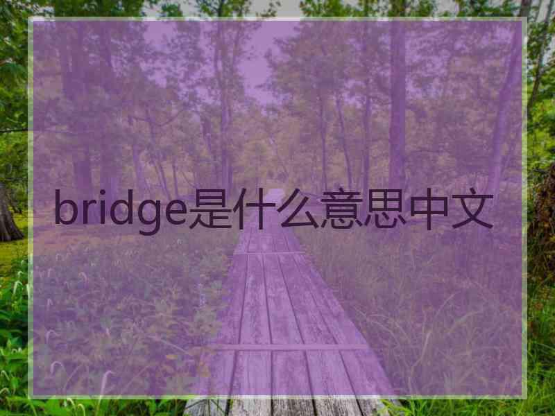 bridge是什么意思中文 bridge是什么意思中文
