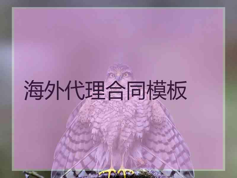 海外代理合同模板 海外代理合同模板