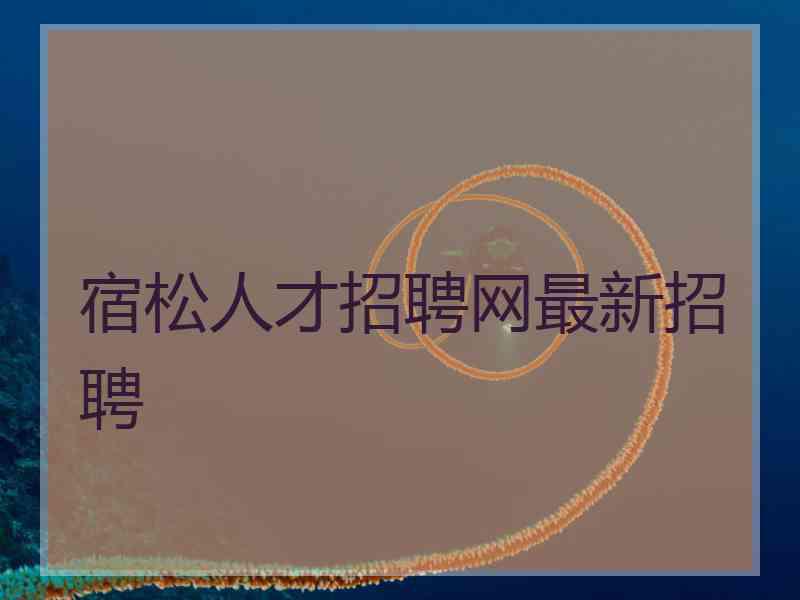 宿松人才招聘网最新招聘 宿松人才招聘网最新招聘
