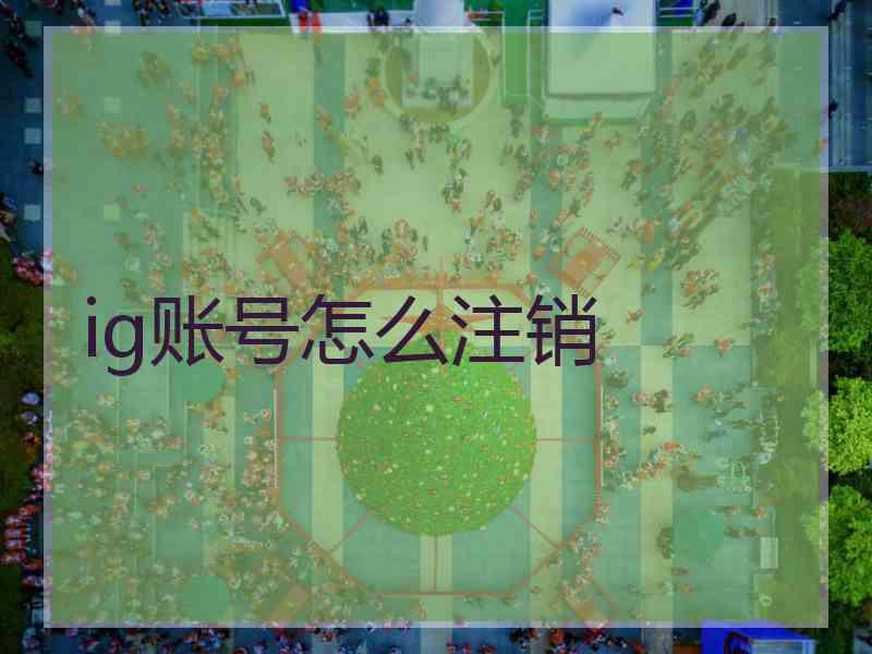 ig账号怎么注销 ig账号怎么注销