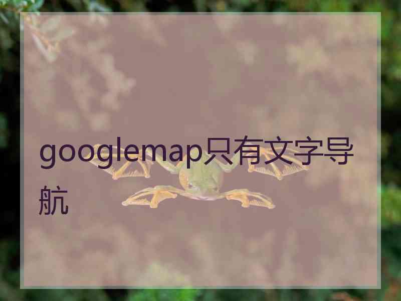 googlemap只有文字导航 googlemap只有文字导航