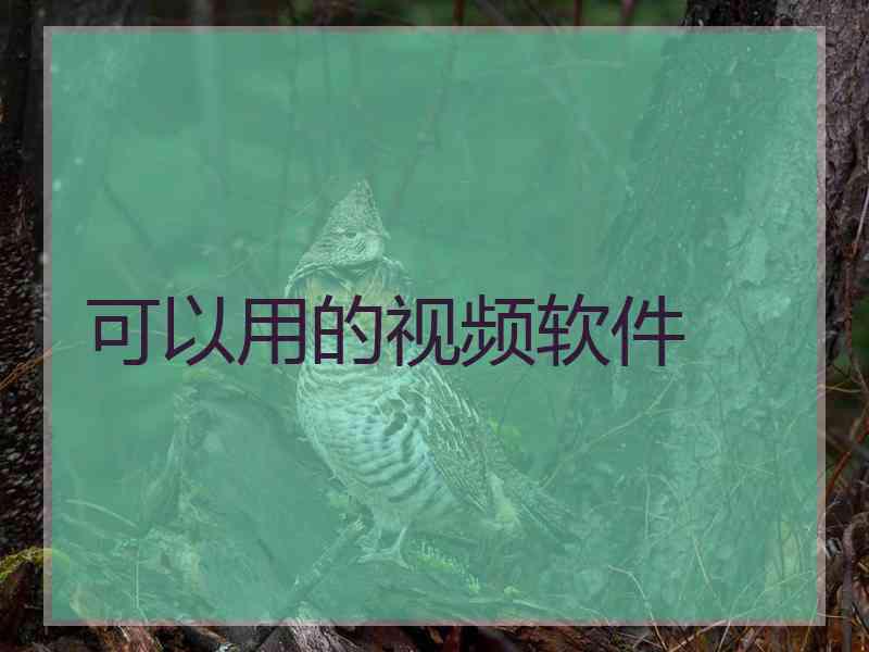 可以用的视频软件 可以用的视频软件