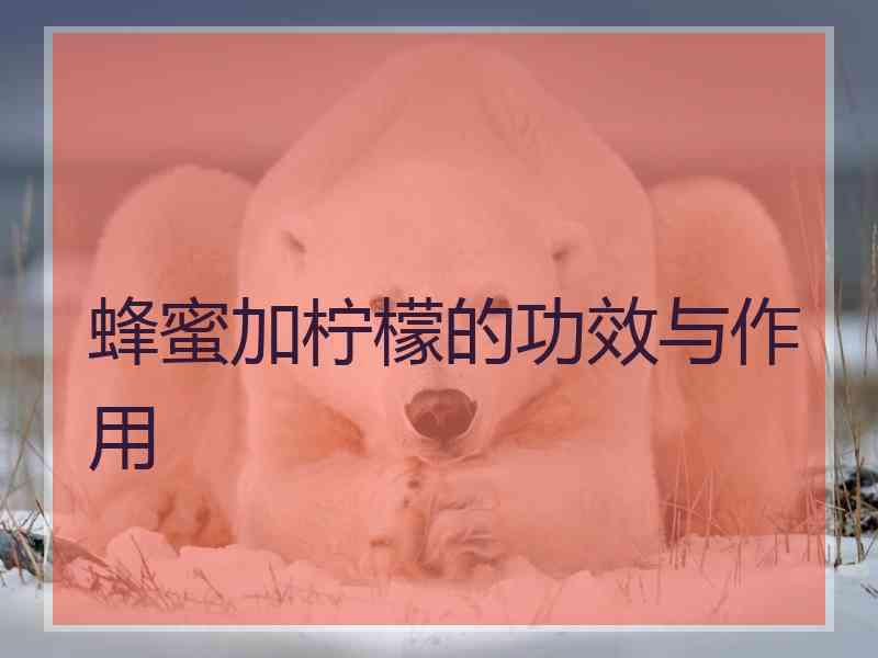 蜂蜜加柠檬的功效与作用 蜂蜜加柠檬的功效与作用