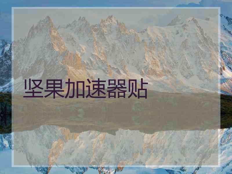 坚果加速器贴 坚果加速器贴