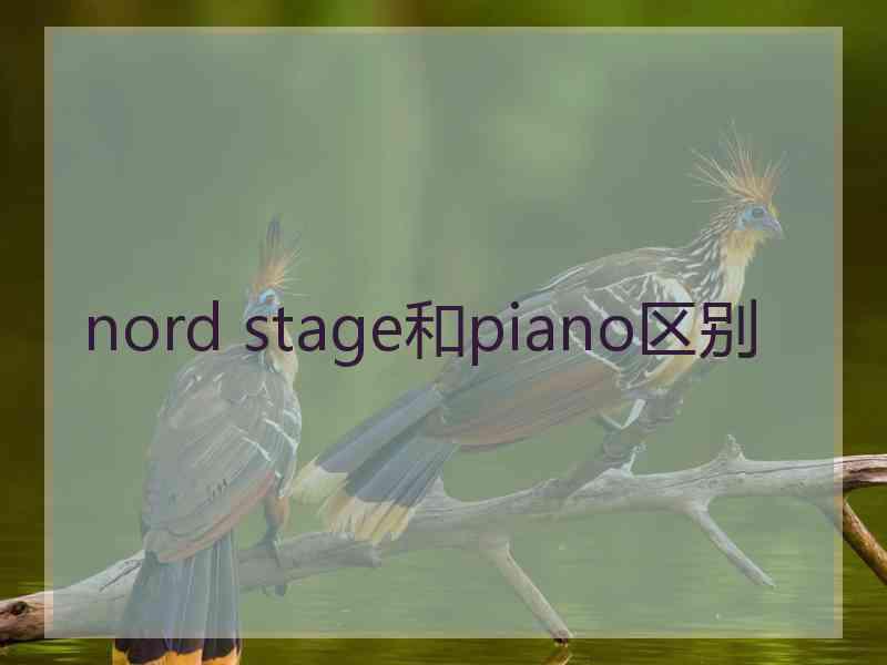 nord stage和piano区别
