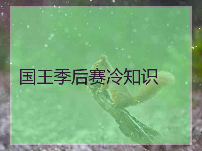 国王季后赛冷知识 国王季后赛冷知识