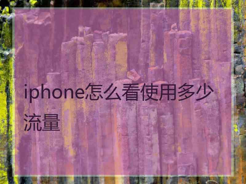 iphone怎么看使用多少流量 iphone怎么看使用多少流量