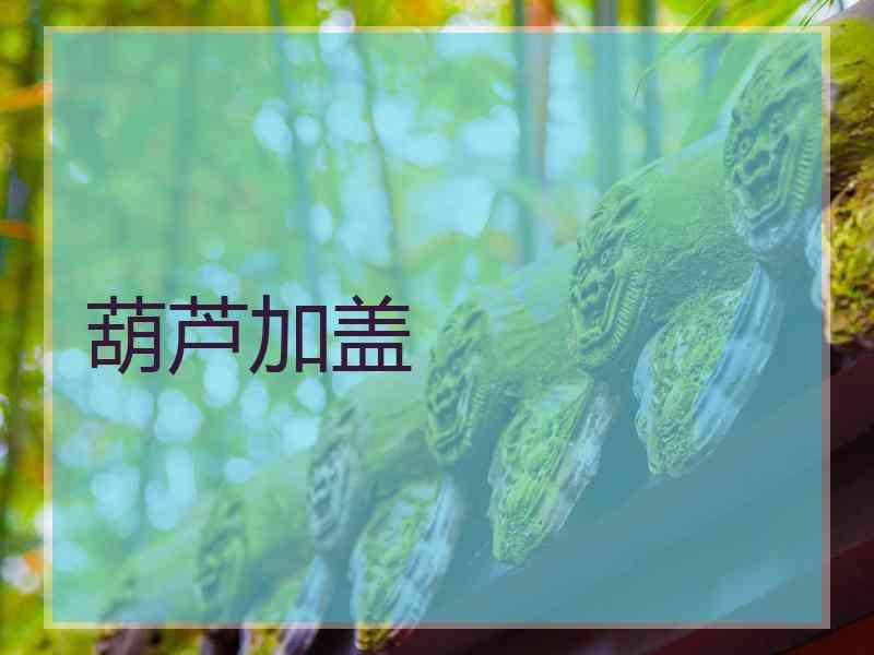 葫芦加盖 葫芦加盖