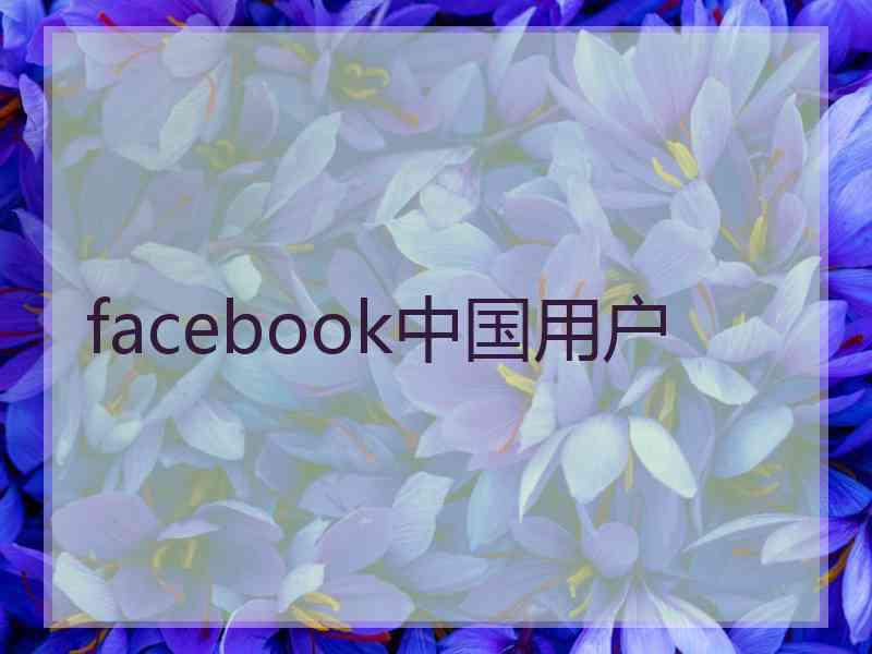 facebook中国用户
