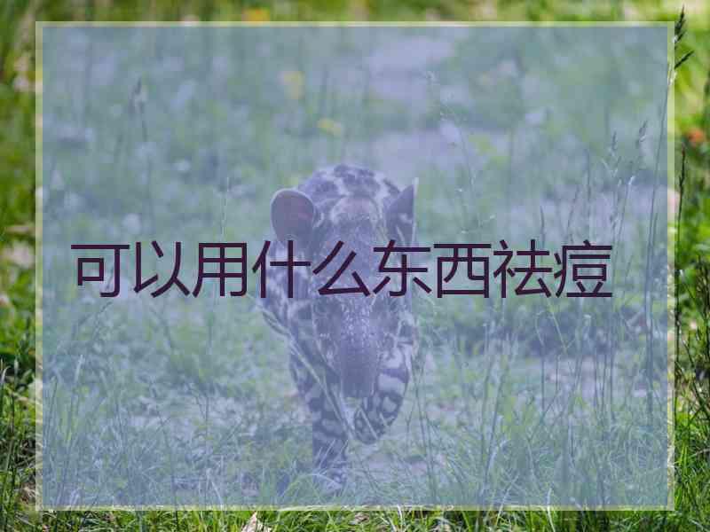 可以用什么东西祛痘 可以用什么东西祛痘
