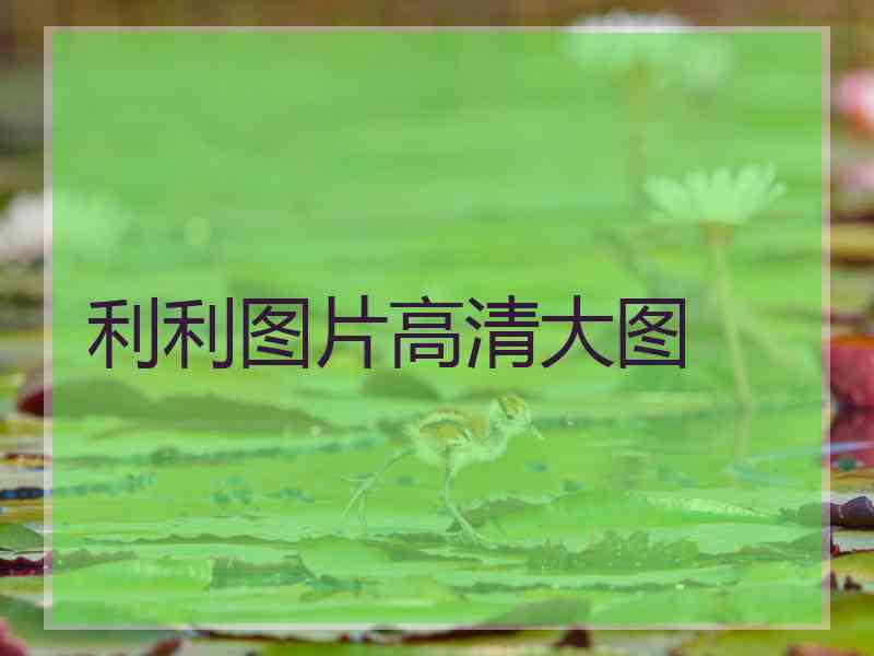 利利图片高清大图 利利图片高清大图