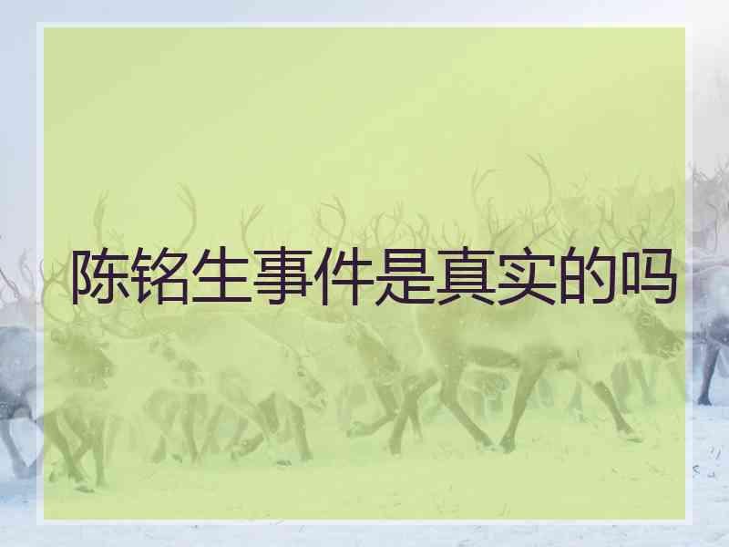 陈铭生事件是真实的吗 陈铭生事件是真实的吗