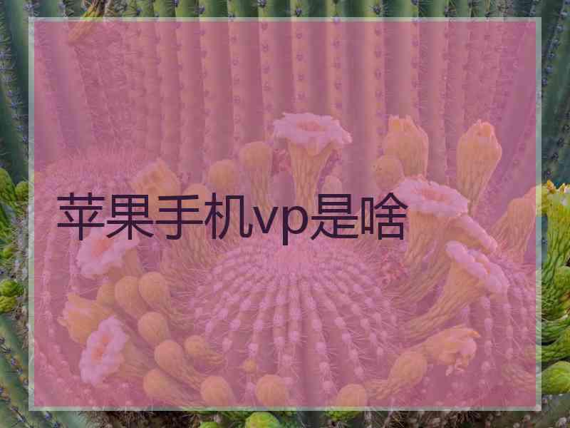苹果手机vp是啥 苹果手机vp是啥