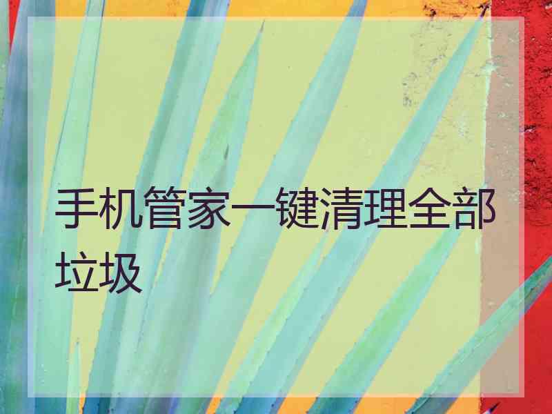 手机管家一键清理全部垃圾 手机管家一键清理全部垃圾