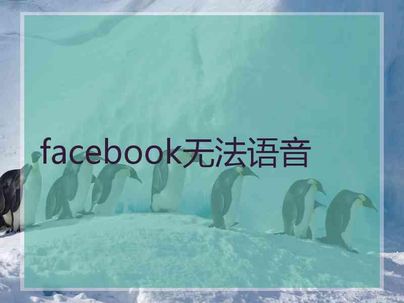 facebook无法语音 facebook无法语音