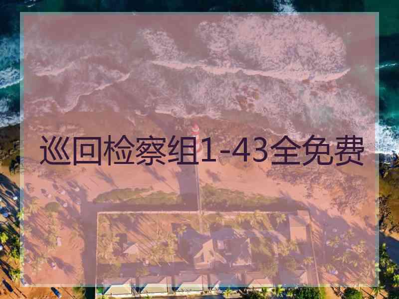 巡回检察组1-43全免费 巡回检察组1-43全免费