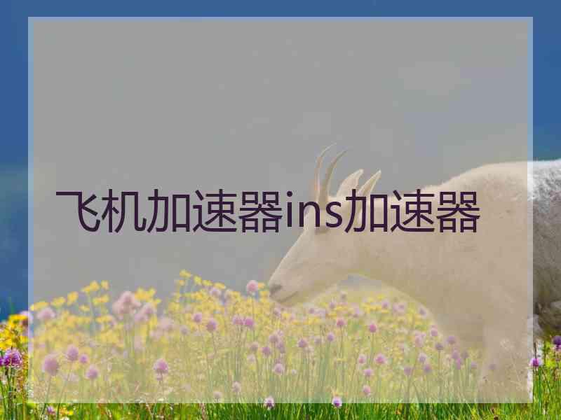 飞机加速器ins加速器 飞机加速器ins加速器